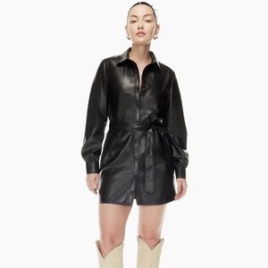 Aritzia Wilfred Caroline Dress